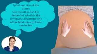 Abdominal Palpation Tutorial for Student Midwives [upl. by Beane]