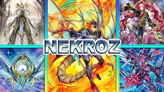 Nekroz Deck 2024  Post Terminal World 2 EDOPRO Replays  Decklist [upl. by Rhyne]