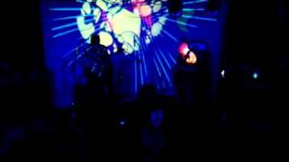 Vibravoid  Live at Yellowstock Fstival 2011 Belgium [upl. by Ellenahc284]