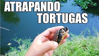 Atrapando Tortugas [upl. by Trant]