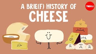 A brief history of cheese  Paul Kindstedt [upl. by Osswald587]