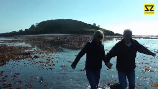 Looe Island  St Georges Island Walk Lowest Tide for 200 years 22032015 [upl. by Akeimahs]