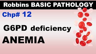 Ch12  Sickle Cell Anemia  G6PD Deficiency Anemia  Blood Pathology  Dr Asif Lectures [upl. by Fredette]