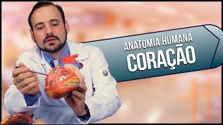 Anatomia Humana CORAÇÃO PRÁTICA [upl. by Roice139]