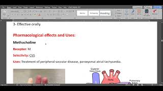 ANS Parasympathomimetic drugs [upl. by Akit]