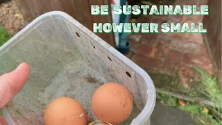 Try and be sustainable when gardening however small CGD episode 3 [upl. by Lalita]