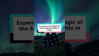 Experience the Magic of the Southern Lights in Otago shorts [upl. by Kosel418]