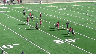 2024 JV 7V7 Silver Championship Gamecocks v Georgia Bulldogs [upl. by Pero340]