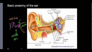 lecture 22 part 1 Basic anatomy of ear ossicles choclea [upl. by Seebeck81]