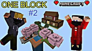 Minecraft One Block Build HOME 🏠 With My Friend 😱 2 [upl. by Osrock]