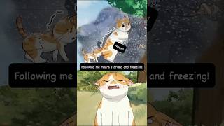 Because I Want You To Have a Better Life cat animation shorts [upl. by Ardnovahs]