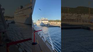 How Cruise Ship Dock  ytshortsindia ytviral ship cruise cruiseship travel ytshorts cruises [upl. by Gnof530]