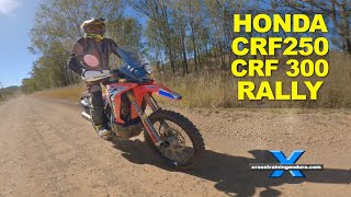 Honda CRF250 CRF300 Rally review︱Cross Training Adventure [upl. by Ahsinyt]