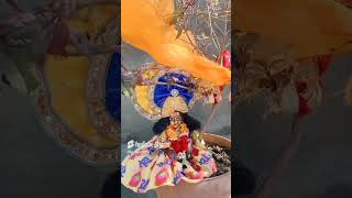 jai shreekrishna trending kausik g maharaj tulsi ka paudha shorts viralvideo [upl. by Ettolrahs]