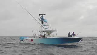 Fish Bluewaters Operation Sailfish Day 1 Team Bluetales on a Tuna [upl. by Aehtna]