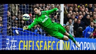 Asmir Begović  Best Saves Compilation  HD 720p [upl. by Nnaj]