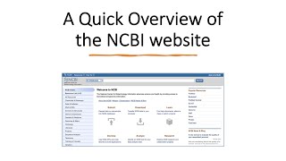 How to Use the NCBI’s Bioinformatics Tools and Databases [upl. by Odrarebe]