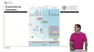 Filogenia de Sistema Inmune   UPV [upl. by Angelina]