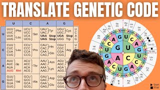 How to Translate mRNA to Amino Acids DECODING THE GENETIC CODE [upl. by Firestone405]