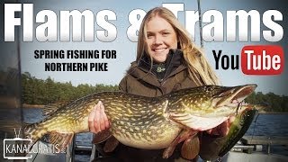 Flams amp Trams  Spring Fishing for Northern Pike  Kanalgratisse [upl. by Trueblood]