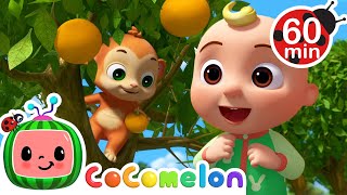 Grow Your Fruit Song 🍎🍊  🌈 CoComelon Sing Along Songs 🌈  Preschool Learning  Moonbug Tiny TV [upl. by Brinson]