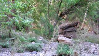 Hell Hole Aravaipa Canyon Wilderness Grand Enchantment Trail [upl. by Bindman]