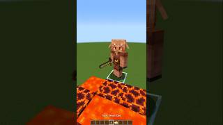 Piglin IQ Test in Minecraft😱 もういいよ [upl. by Suivatnom]