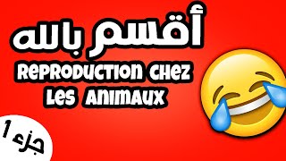 la reproduction chez les animaux 2 année collège شرح الدرس  partie1 [upl. by Resa32]