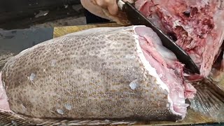 How To Make Fish Cutting 🔥 Skills  Bigg Hamour Carry And Recipe  Fish cutting  Hamour fish [upl. by Maryjane]