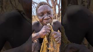 Its Lunch time See how Hadza tribe preparing their favorite meal middle of nowhere hadzabetribe [upl. by Aicined521]