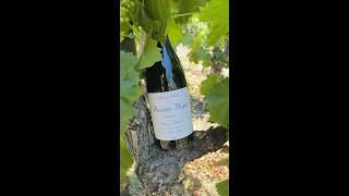 Austin Hope Rhone Blend 2021 [upl. by Virgil]