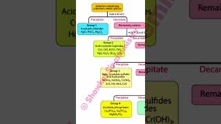 Salt analysis class 12 practical cbseclass12 chemistry practical saltanalysis [upl. by Skees]