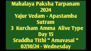 Mahalaya Paksham 24 Yajur Vedam Apastamba Sutram 3 Kurcham Amma Alive Day 15 Amavasai tithi 021024 [upl. by Akemrej]