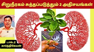 இந்த 2 உணவுகள் சிறுநீரகத்தை சுத்தப்படுத்தும் அதிசயங்களா  2 kidney detox foods [upl. by Lyn555]