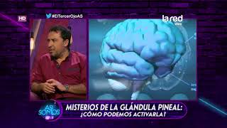 ¿Cómo activar la glándula pineal [upl. by Rurik929]