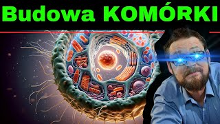 Komórka Najprościej o budowie komórki zwierzęcej Mitochondrium błona komórkowa wakuola jądro [upl. by Binni]