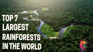 TOP 7 largest rainforests in the world [upl. by Aikemal346]