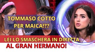 MAICA BENEDICTO GRAN HERMANO DISTRUGGE TOMMASO È UNO SCARAFAGGIO GRANDE FRATELLO 2024 [upl. by Munn475]