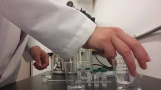 Sulphate Analysis Instructions [upl. by Romina]