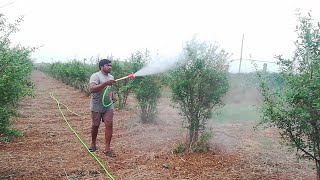 CFP768 PORTABLE POWER SPRAYER Using  Spraying on Pomegranate Trees [upl. by Inava]