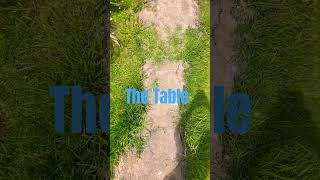 Full tour of Elwood Air  MTB Jumps Shout out to ilikeyamal19 andLovemtb99 [upl. by Olinad]