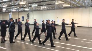 317 Failsworth Sqn  ACO Corps Drill and Banner Competition 2015 [upl. by Ricca]