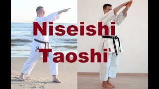 Niseishi Takedowns [upl. by Munmro322]