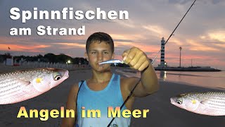 Meeresangeln  Spinnfischen am Strand im Mittelmeer  Angeln in Italien am Meer bei Sonnenaufgang [upl. by Sower446]