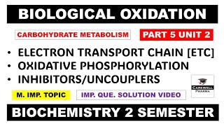 ETC  Electron Transport Chain  Oxidative phosphorylation  Biological oxidation  P 5 U 2 BC [upl. by Camilo]