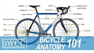 Bicycle Anatomy 101 Learn All the Parts of a Bike [upl. by Lewellen105]