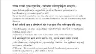 SRI RUDRAM 11th Anuvaka  STRICTLY NOT FOR LEARNINGWHATSAPP NUMBER IN DESCRIPTIONS TO LEARN [upl. by Ecidnarb999]