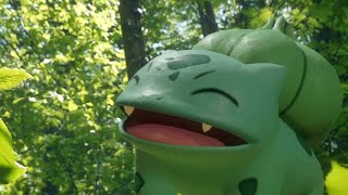 Bulbasaur enjoying a sunny day  Pokemon in real life [upl. by Hctud]