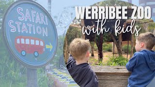 Werribee Zoo Day out with Kids Vlog [upl. by Bartko]