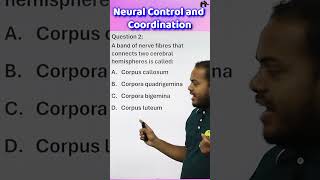 Neural Control And Coordination NEET Biology MCQs neet neetmcqsneet2024 [upl. by Botnick]